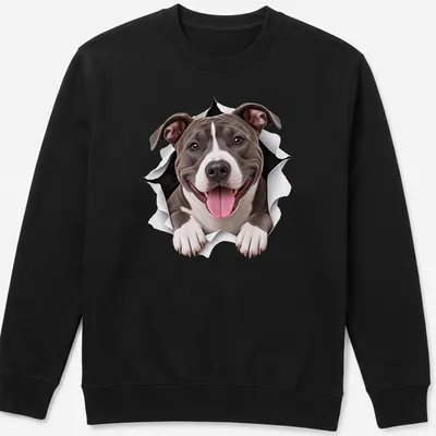 Realistic print of an American Staffordshire Terrier with a playful expression in gray, white, and black. — printed on a unisex sweatshirt