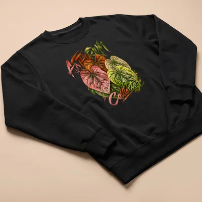Watercolor Anthurium leaves with text 'ANTHURIUM Collector' in vibrant colors — printed on a unisex sweatshirt