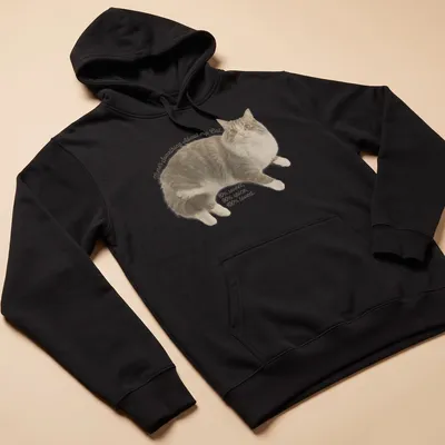 Vintage distressed Cat Lover t-shirt with playful cat illustration and text — printed on a unisex hoodie