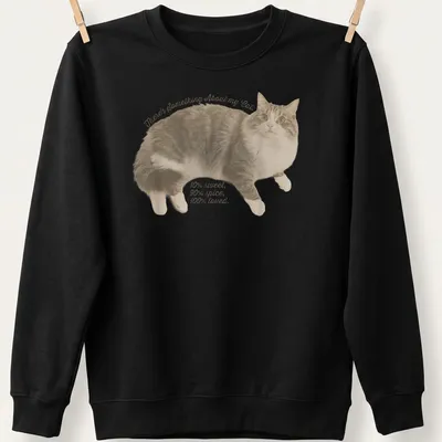 Vintage distressed Cat Lover t-shirt with playful cat illustration and text — printed on a unisex sweatshirt