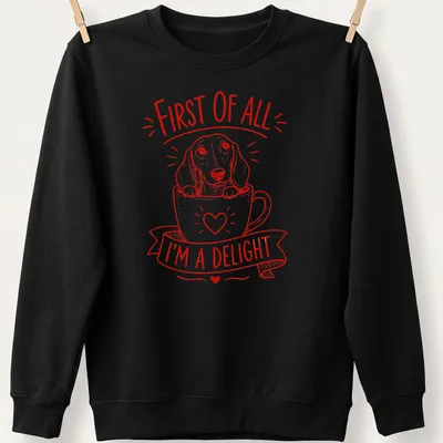 Red line-art design featuring a Dachshund and the phrase 'First of All I'm A Delight' — printed on a unisex sweatshirt