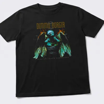 Artistic illustration of an angel with Dimmu Borgir text in gold and colors