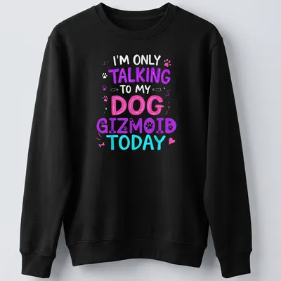 Colorful illustration of a dog with text saying I'm Only Talking to My Dog Gizmoid Today — printed on a unisex sweatshirt