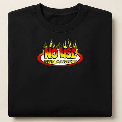 Colorful flames surrounding the bold text 'NO USE FOR A NAME' on a — printed on a unisex sweatshirt