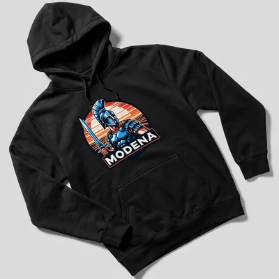 Vintage style Gladiator t-shirt with bold typography and colorful illustration — printed on a unisex hoodie