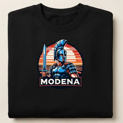 Vintage style Gladiator t-shirt with bold typography and colorful illustration — printed on a unisex sweatshirt