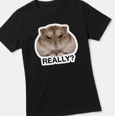 Cartoon hamster meme t-shirt with the word REALLY? in brown and white. — printed on a women's shirt