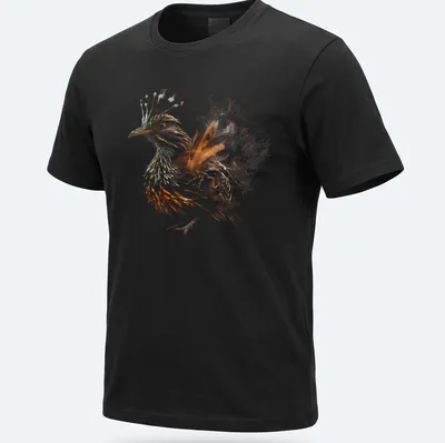 Abstract illustration of the Mexican Roadrunner in brown, orange, black, and white.