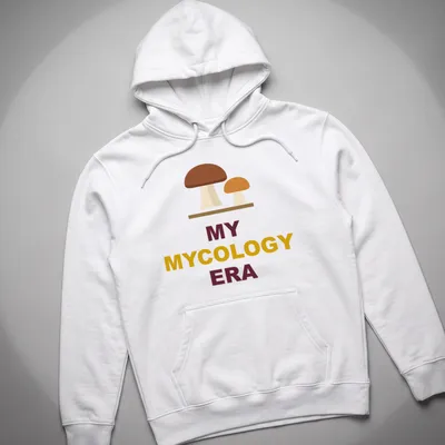 Minimalist mushroom graphic t-shirt featuring earthy tones with text above — printed on a unisex hoodie