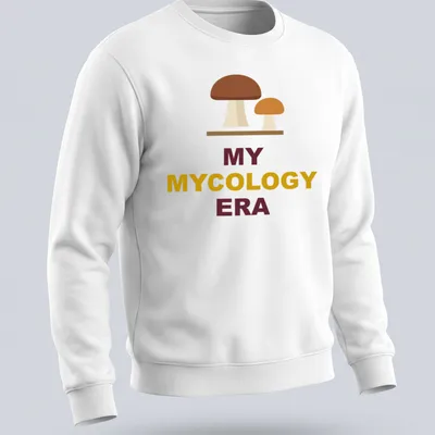 Minimalist mushroom graphic t-shirt featuring earthy tones with text above — printed on a unisex sweatshirt