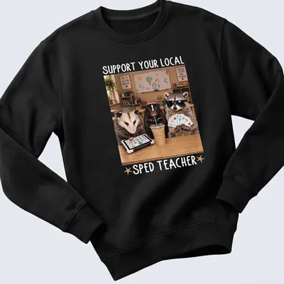 Photorealistic raccoon holding an apple with text supporting SPED teachers — printed on a unisex sweatshirt