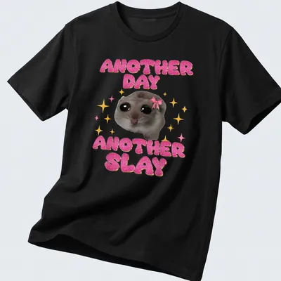 Kawaii design of a sad hamster with the text Another Day Another Slay in bright colors