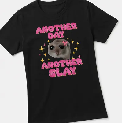 Kawaii design of a sad hamster with the text Another Day Another Slay in bright colors — printed on a women's shirt