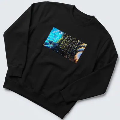 Abstract design of caviar vessels with the phrase 'Vessels Of Abundance The Caviar And The Turning Tide' — printed on a unisex sweatshirt